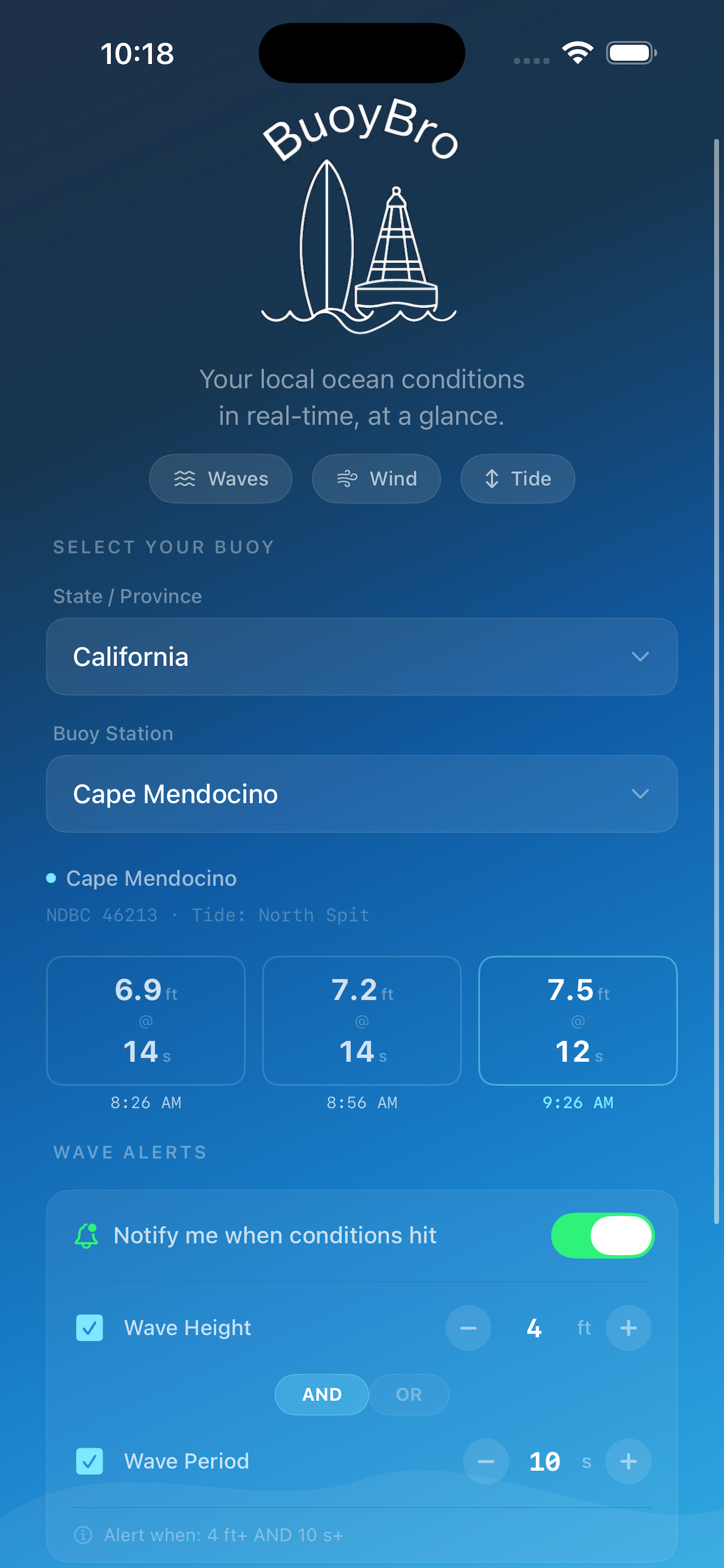 BuoyBro app interface