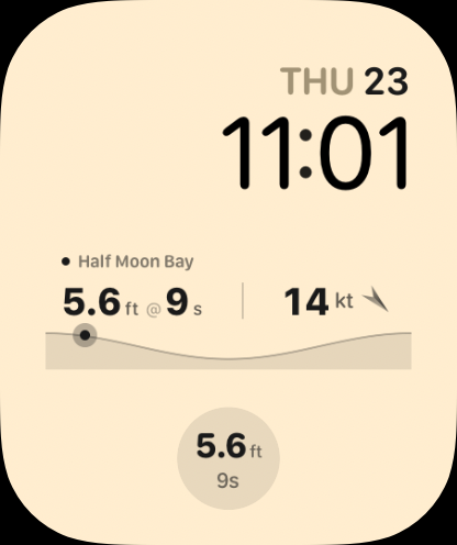 BuoyBro on Apple Watch
