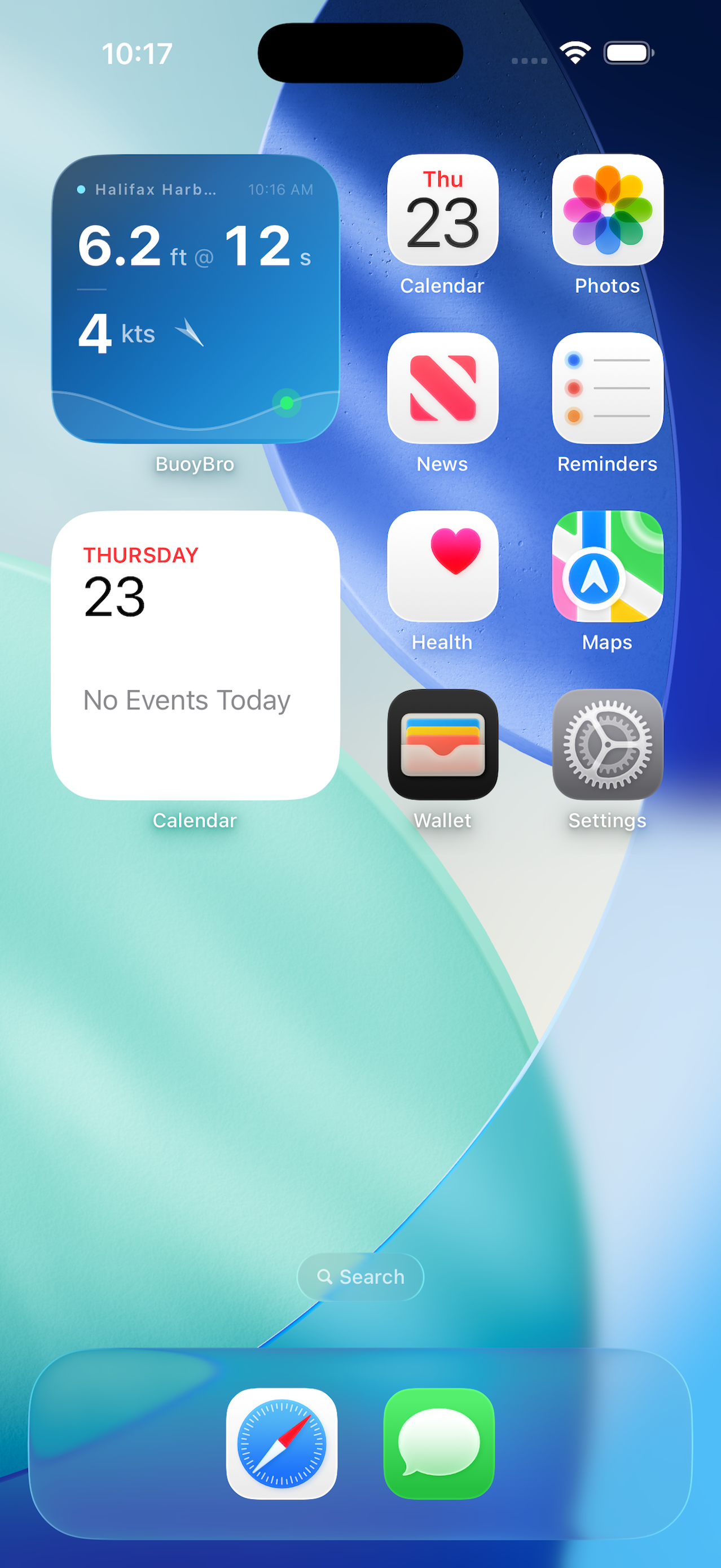 BuoyBro widget on iPhone home screen