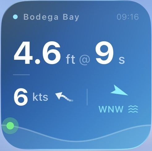 BuoyBro Widget